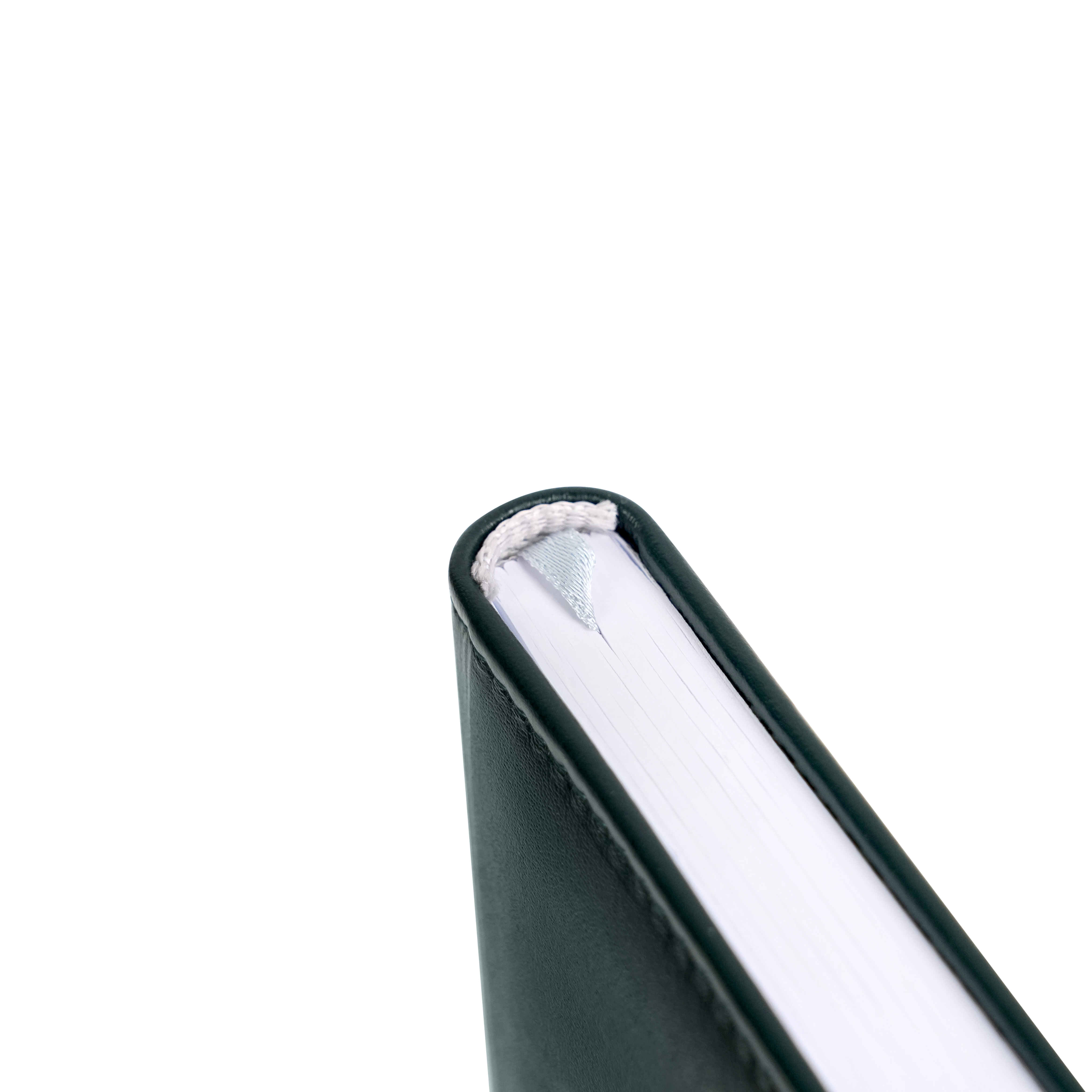 Ежедневник недатированный "Pelle Siena", А5, 272 страницы, зеленый - 6