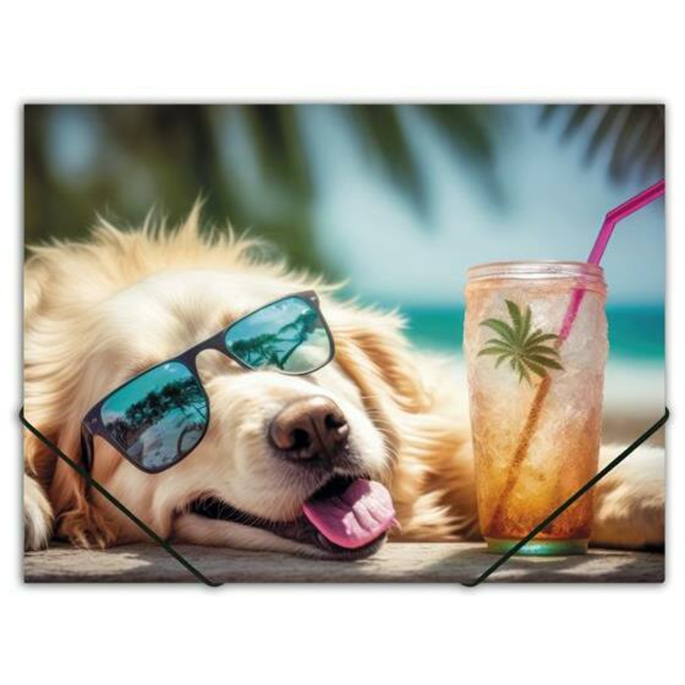Папка на резинках "Chillout dog"