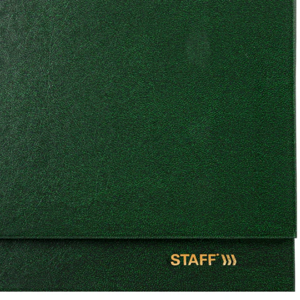 Планинг датированный "Staff" на 2027 год, 300х130 мм, 128 страниц, линейка, зеленый - 3