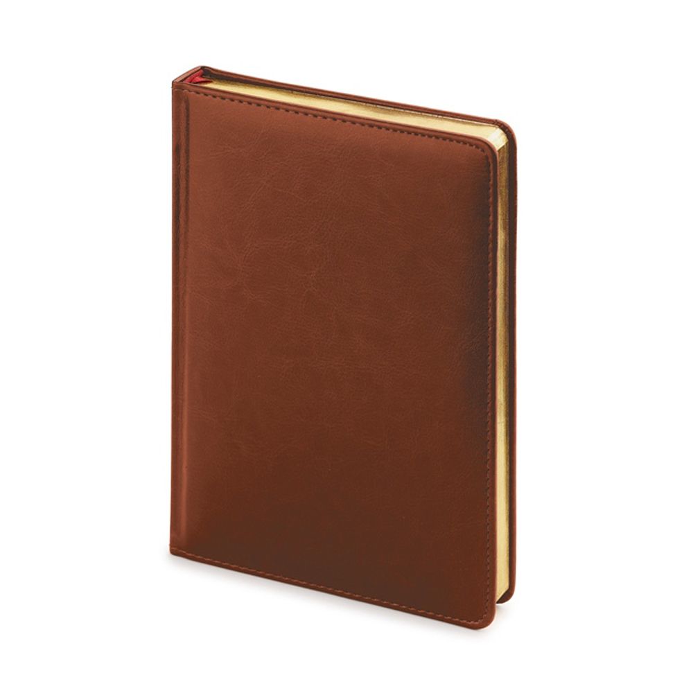 Ежедневник недатированный "Sidney Nebraska", A5+, 272 страницы, коричневый