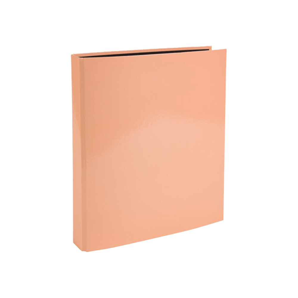 Папка на кольцах "Aquarel"