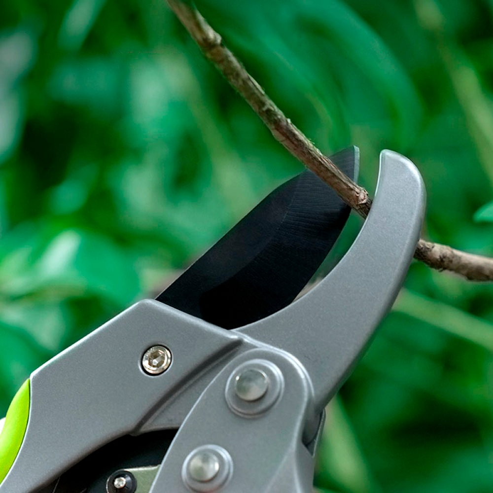 Секатор садовый Deli EDL580229, 200 мм, пластиковая ручка, зеленый - 3