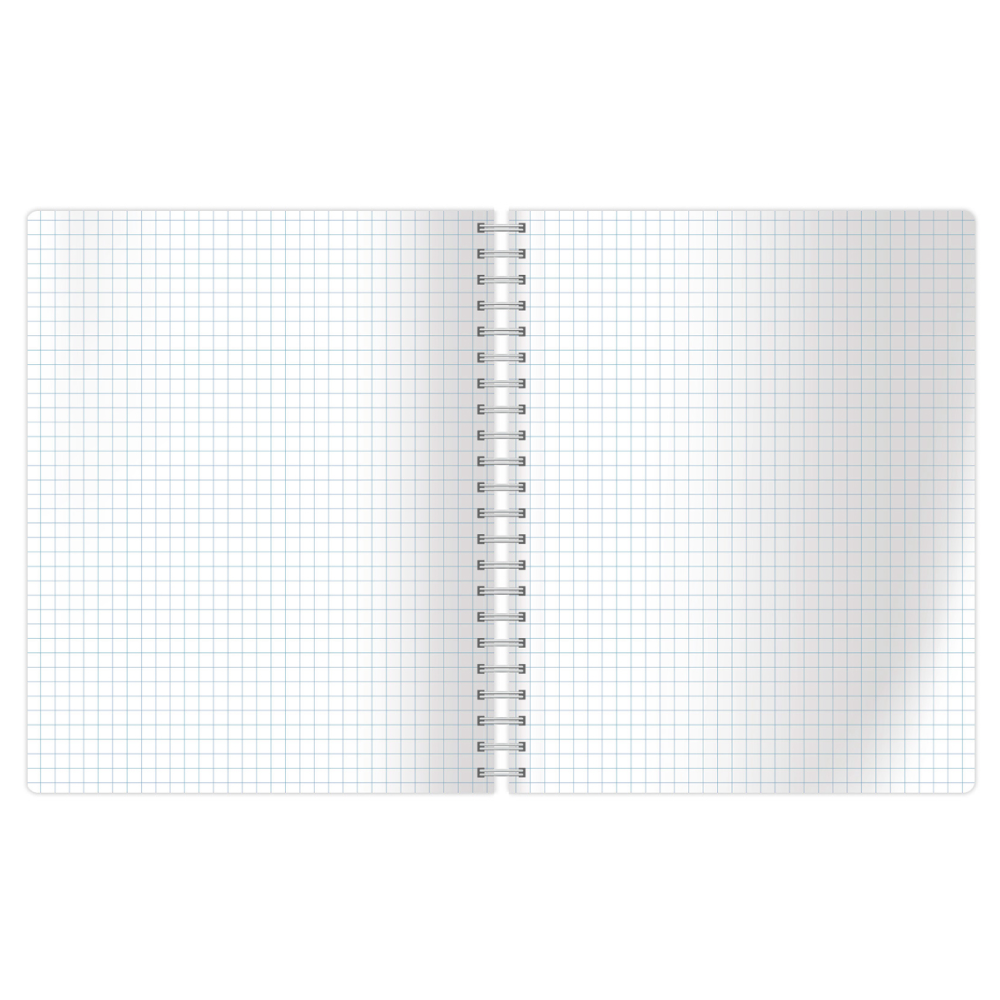 Тетрадь "Disposition", А4, 80 листов, клетка, спираль сбоку, ассорти - 4