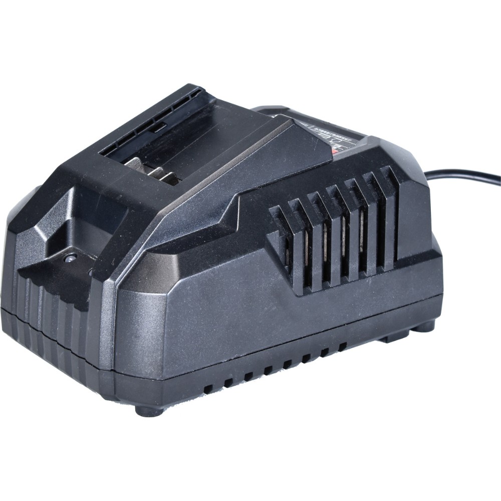 Зарядное устройство для аккумуляторов DongCheng FFCL20-04