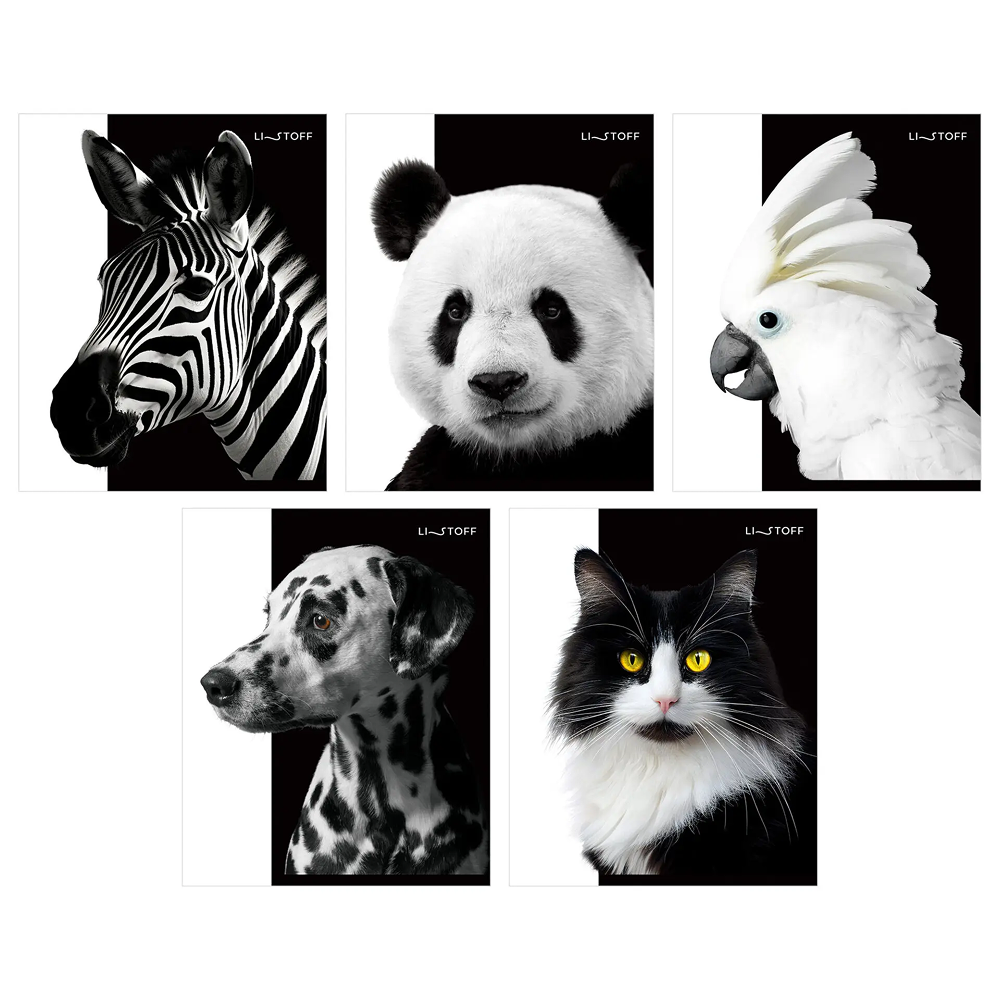 Тетрадь "Черно-белые животные"