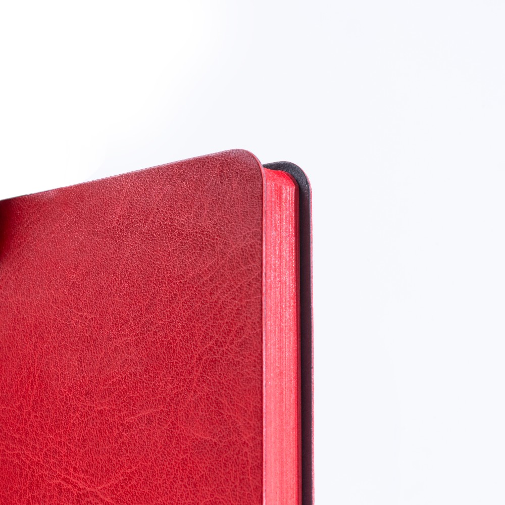 Ежедневник недатированный Acar "Lotce", A5, 272 страницы, красный - 3