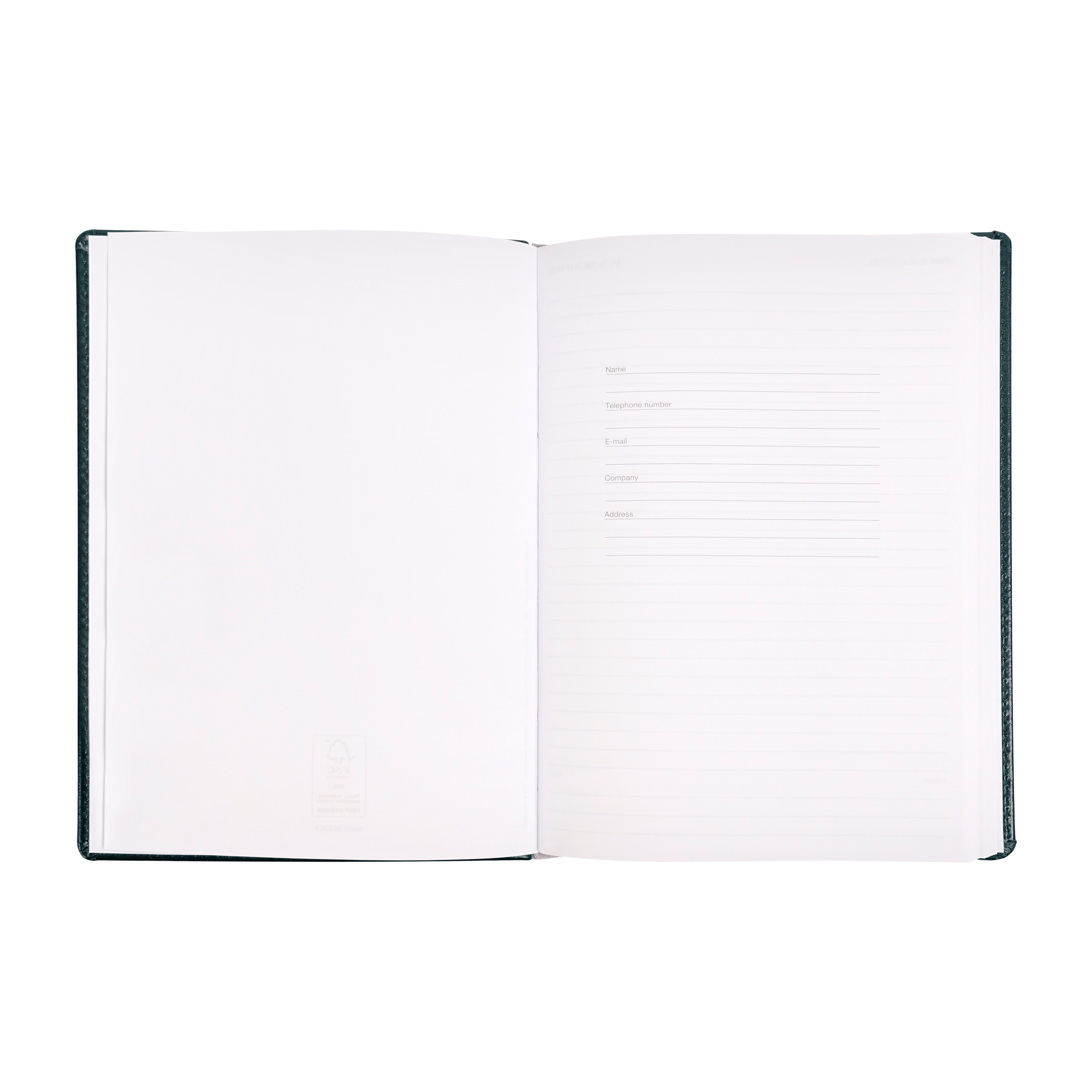 Ежедневник недатированный "Pelle Siena", А5, 272 страницы, зеленый - 8