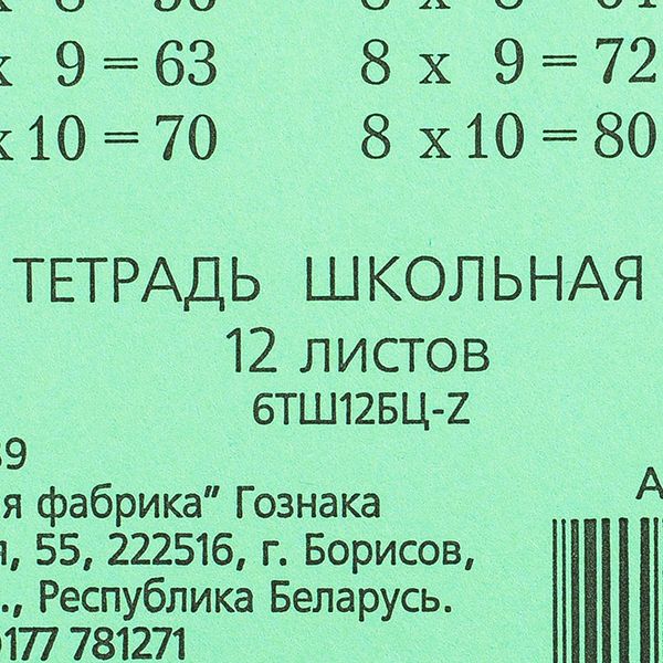 Тетрадь, A5, 12 листов, косая линейка, зеленый - 3