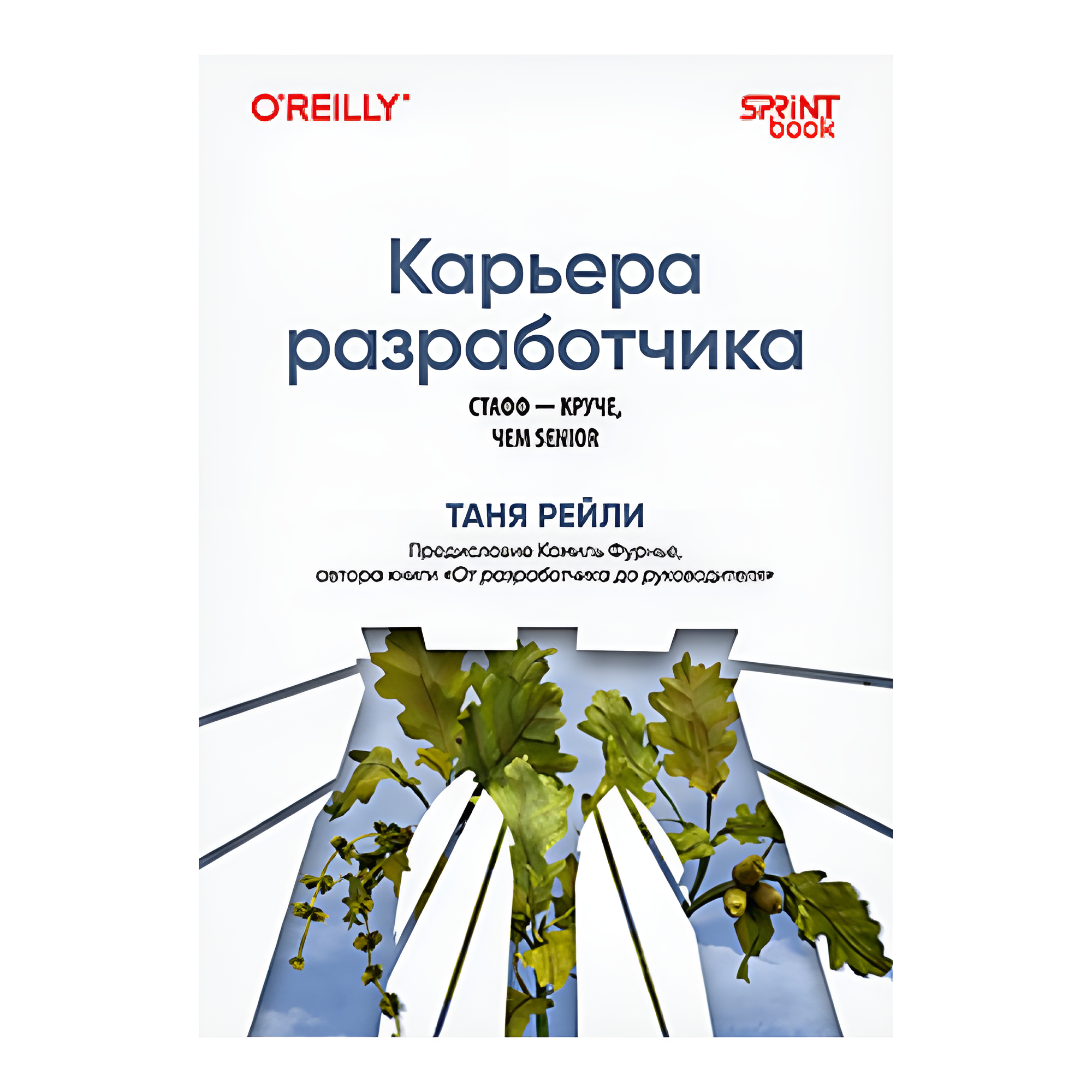 Книга "Карьера разработчика. Стафф - круче, чем senior", Таня Рейли