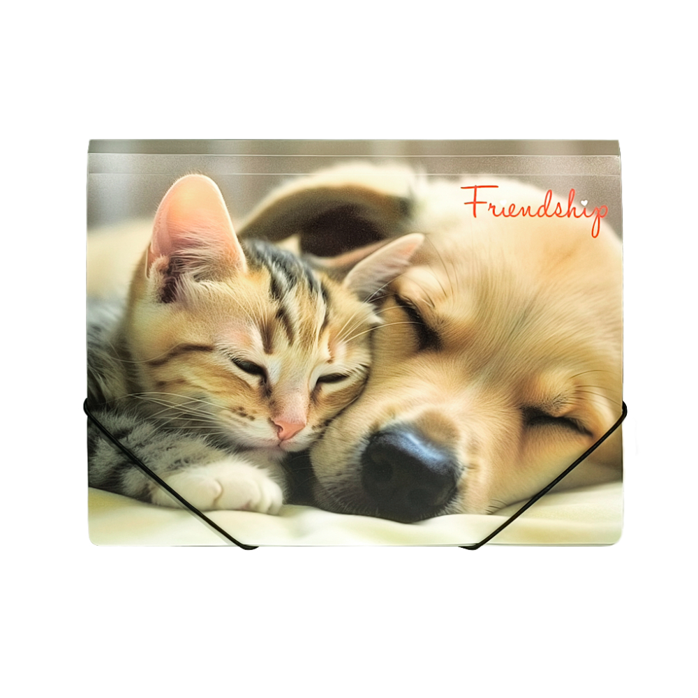 Папка на резинках "Friendship"