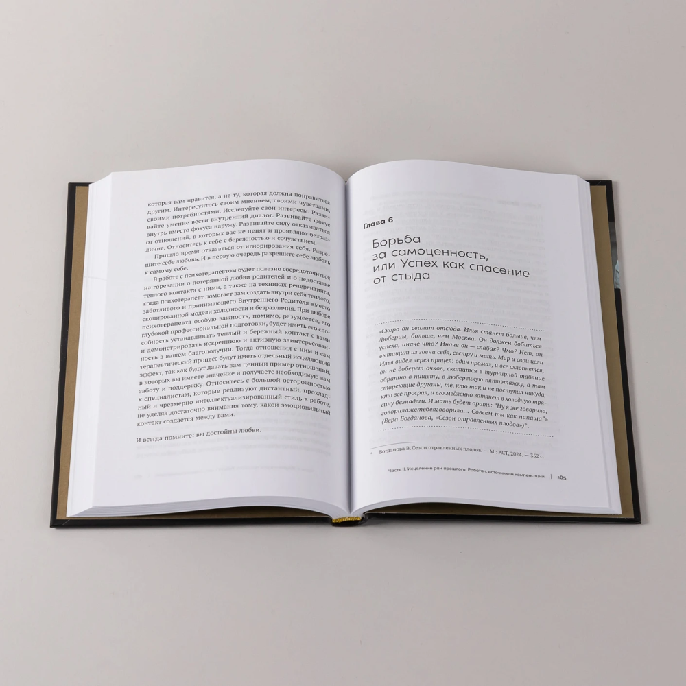 Книга "В плену у достижений: От выгорания к целостности", Степанчук Алина - 8