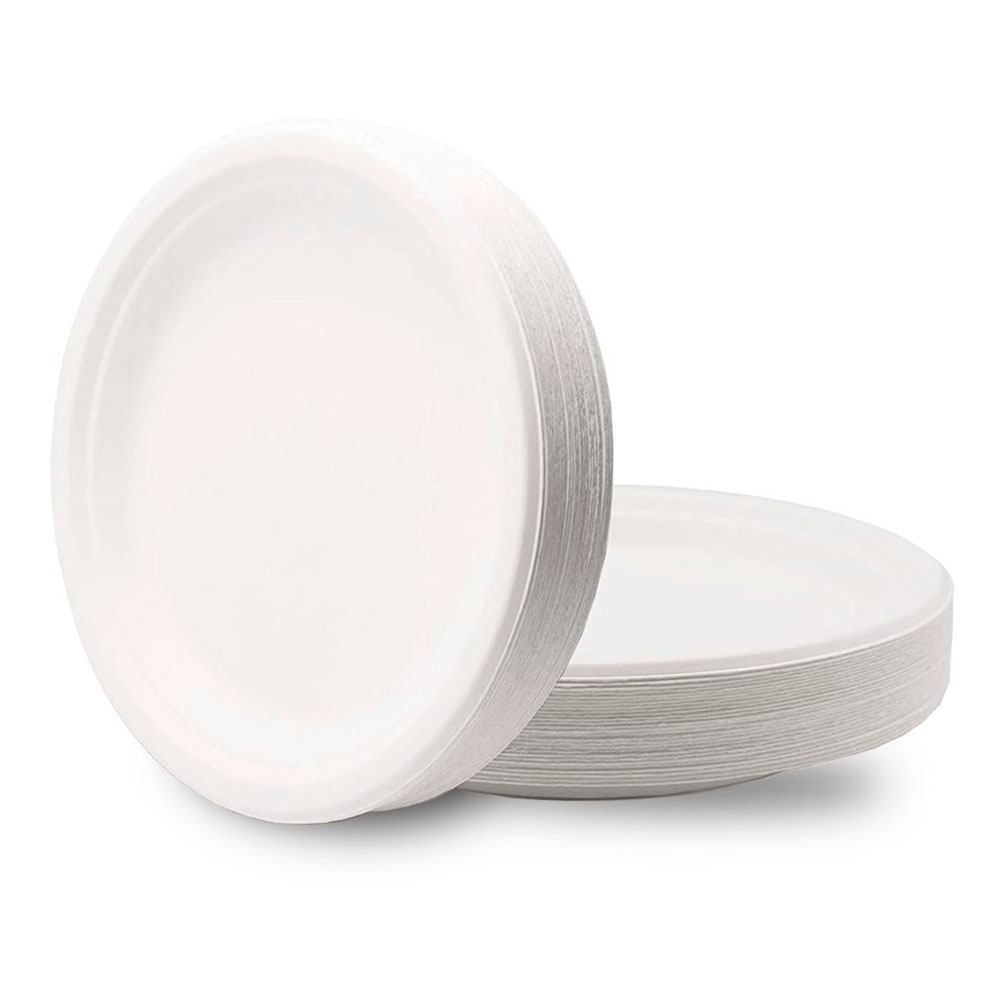 Тарелка одноразовая, сахарный тростник, белая