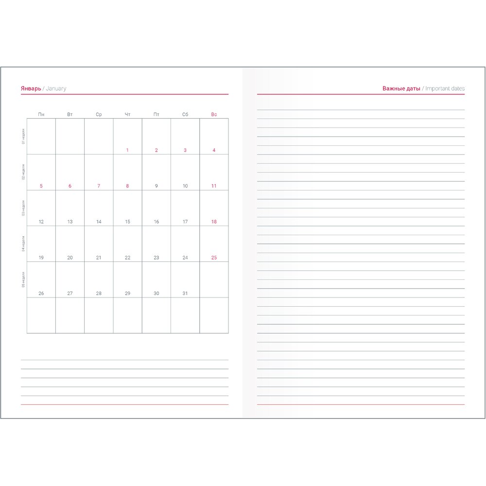 Ежедневник датированный "Berlin", А5, бордовый, 2026 - 4