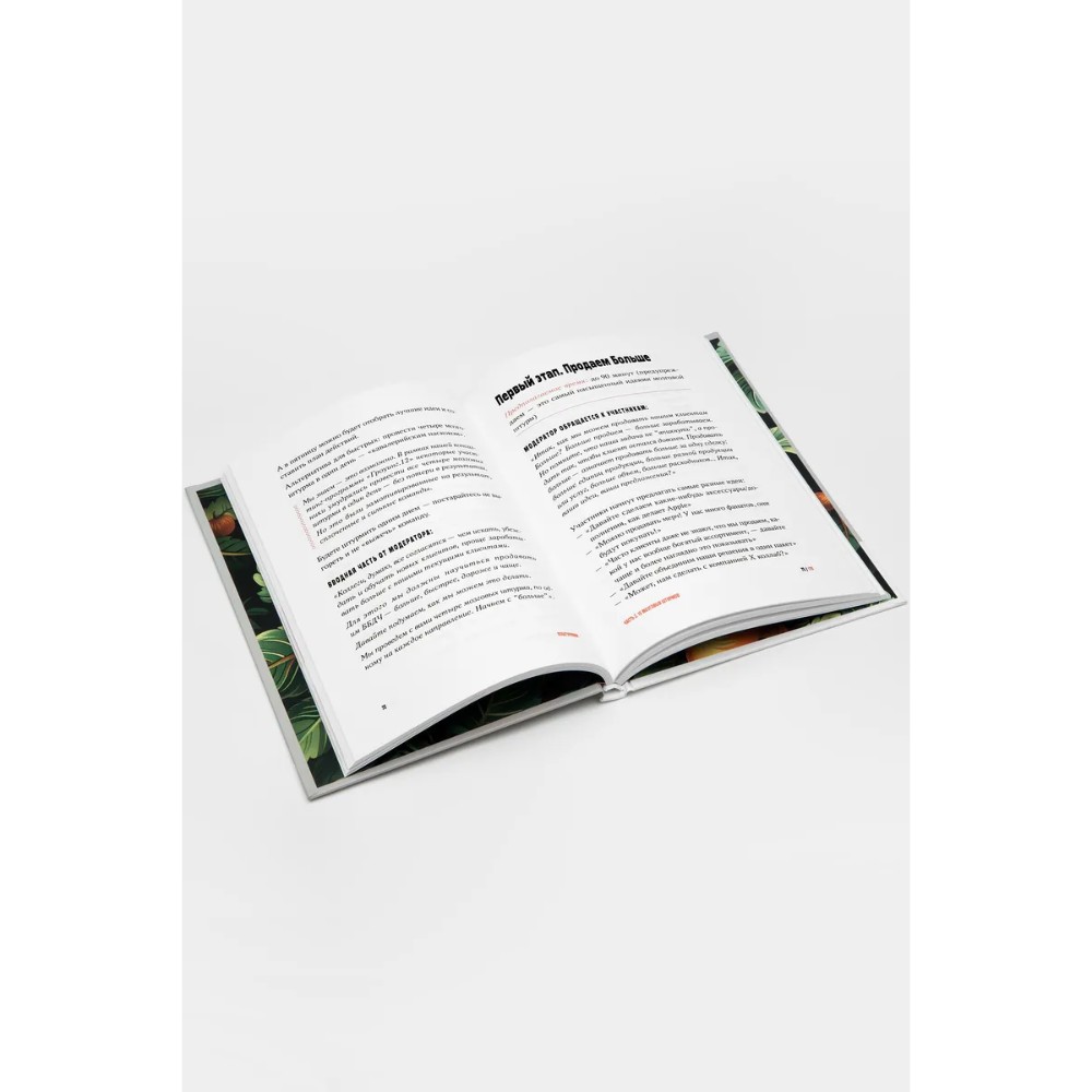 Книга "Поштурмим?", Игорь Манн, Дмитрий Турусин - 5
