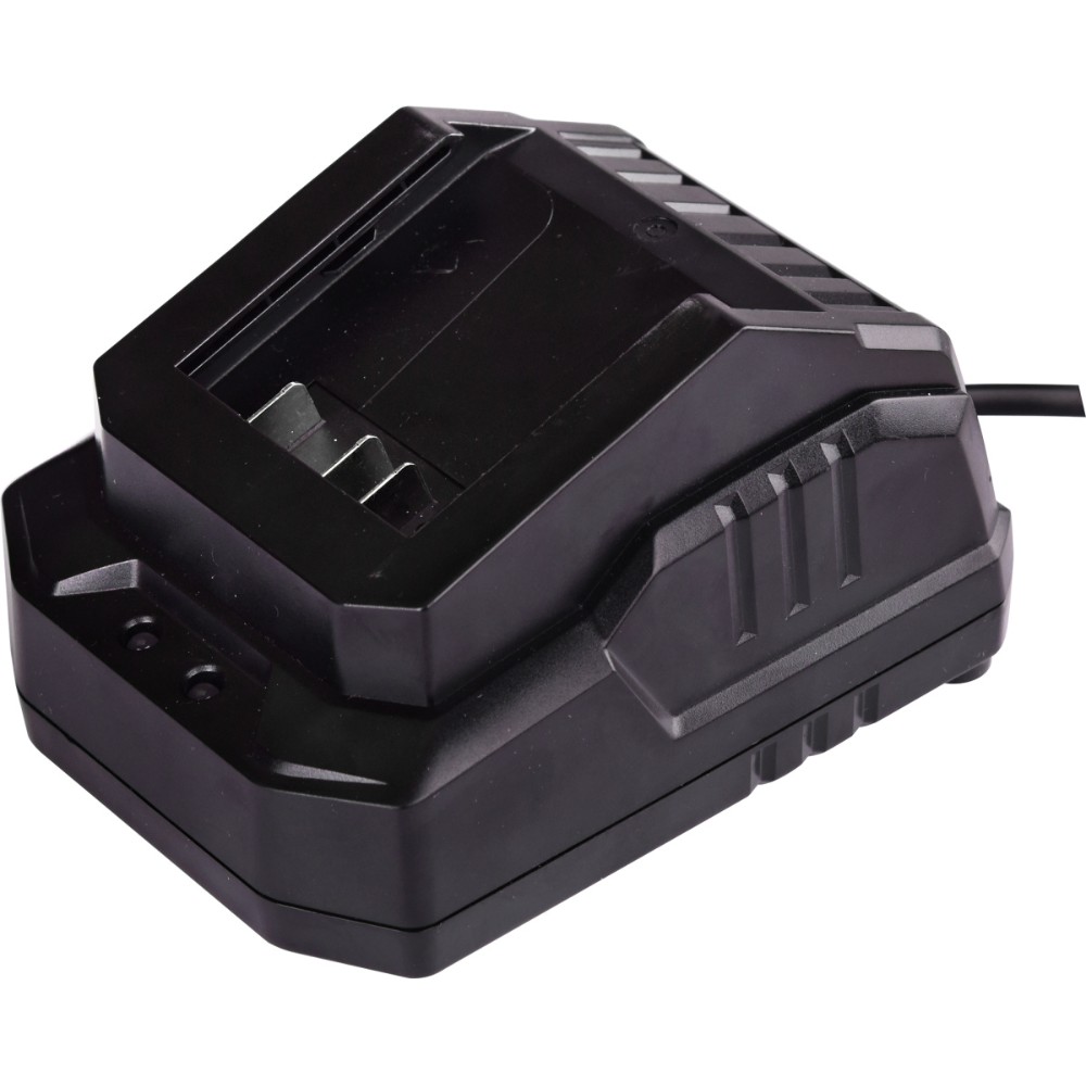 Зарядное устройство для аккумуляторов DongCheng FFCL20-02