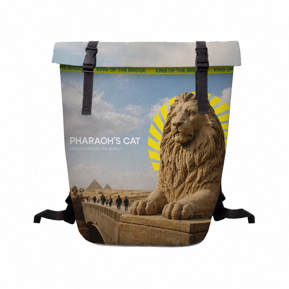 Рюкзак "Pharaoh's cat", ролл-мини, текстиль, разноцветный - 4