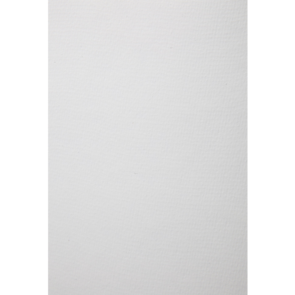 Бумага для акварели "Potentate", целлюлоза, 39х54 см