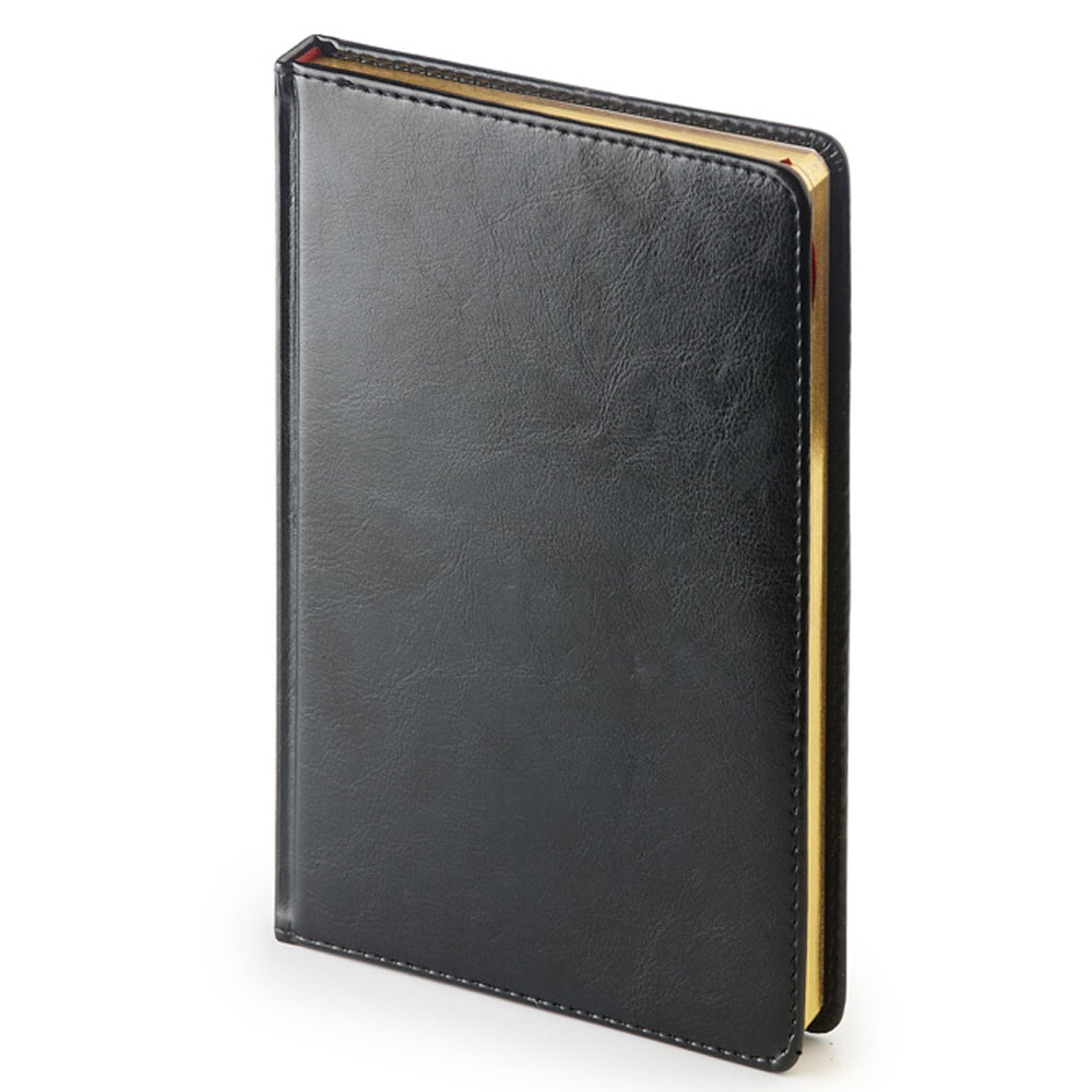 Ежедневник недатированный 