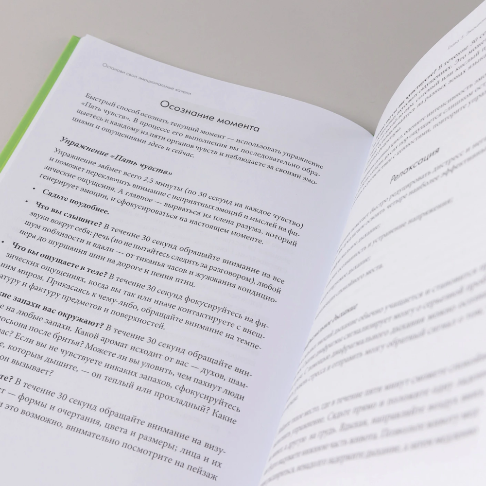 Книга "Останови свои эмоциональные качели", Стефани Кателла, Мэтью Маккей - 12