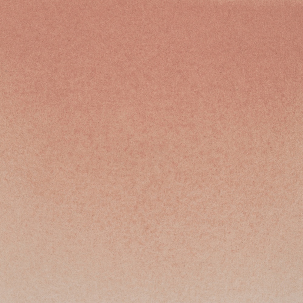 Краски акварельные "Белые ночи", 433 мокко, 10мл., туба - 3