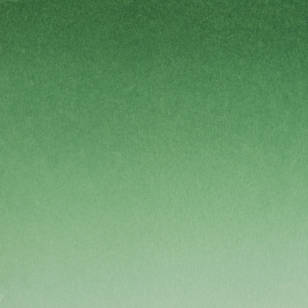 Краски акварельные "Белые ночи", 725 зеленая, 10мл., туба - 3