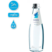 Вода минеральная природная питьевая «Surgiva», 0.25 л., негазированная